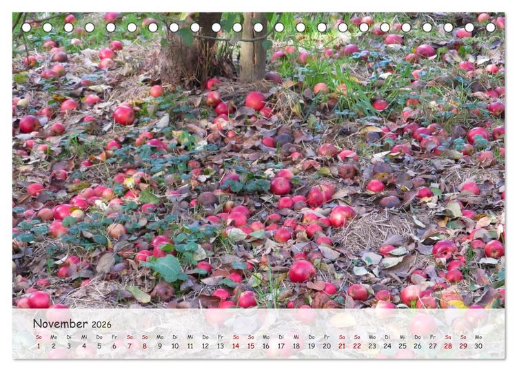 Produktbild: Vier Jahreszeiten - Eine Welt (Tischkalender 2026 DIN A5 quer), CALVENDO Monatskalender