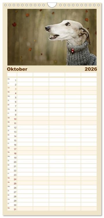 Produktbild: Familienplaner 2026 - Zauberhafte Windhunde mit 5 Spalten (Wandkalender, 21 x 45 cm) CALVENDO
