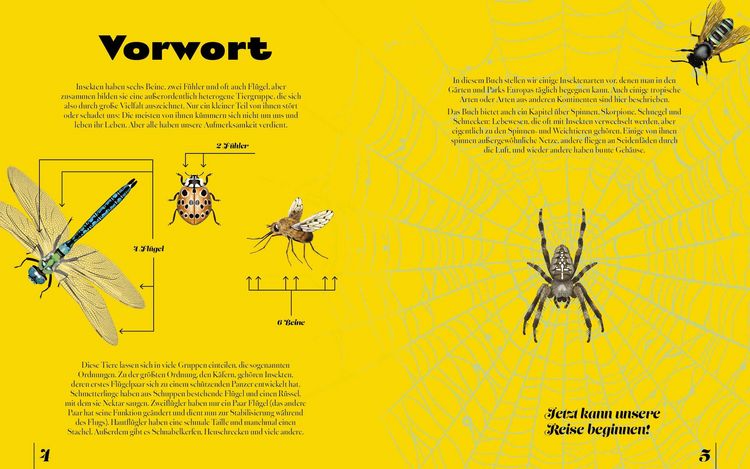 Produktbild: Insekten & Krabbeltiere