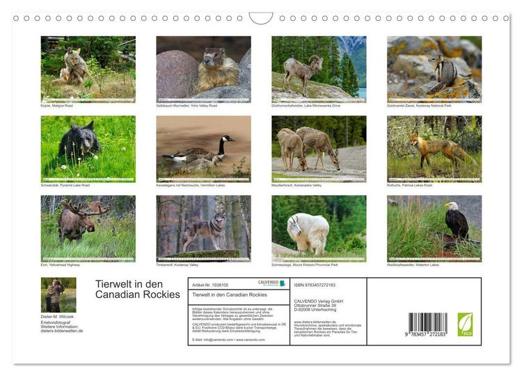 Produktbild: Tierwelt in den Canadian Rockies (Wandkalender 2026 DIN A3 quer), CALVENDO Monatskalender