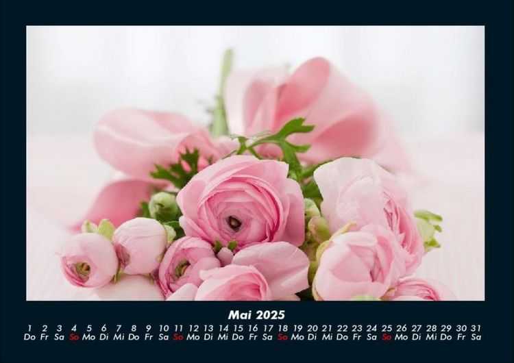 Produktbild: Rosen-Kalender 2025 Fotokalender DIN A4