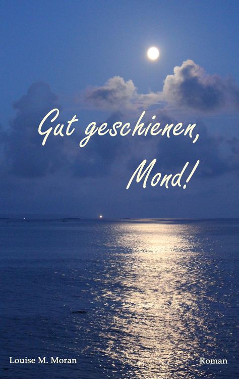 Produktbild: Gut geschienen, Mond!
