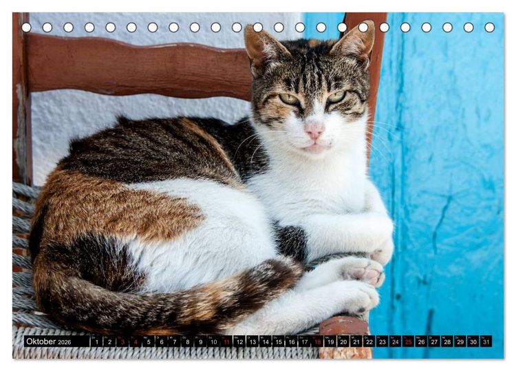 Produktbild: Griechische Katzen (Tischkalender 2026 DIN A5 quer), CALVENDO Monatskalender