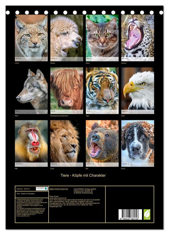 Produktbild: Tiere - K&ouml;pfe mit Charakter (Tischkalender 2026 DIN A5 hoch), CALVENDO Monatskalender