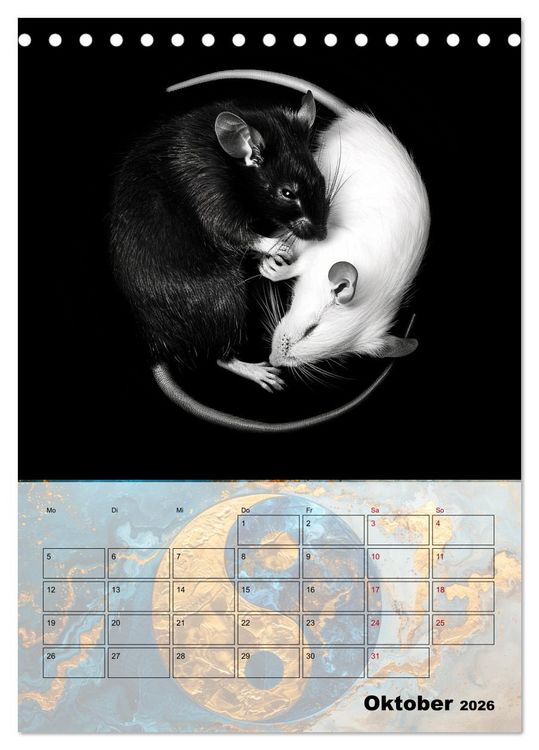 Produktbild: Sei das Yin zu meinem Yang (Tischkalender 2026 DIN A5 hoch), CALVENDO Monatskalender
