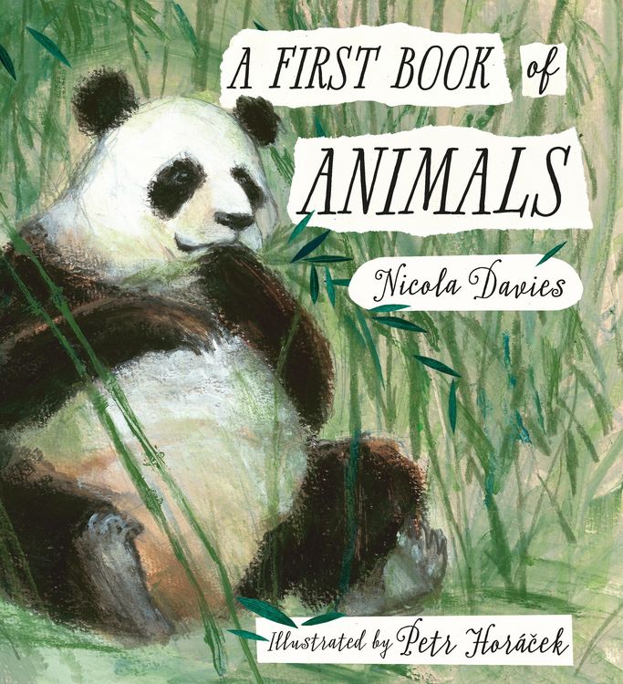 Produktbild: A First Book of Animals