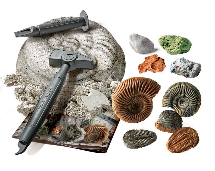 Produktbild: Ausgrabungsset Galileo Fossilien & Mineralien
