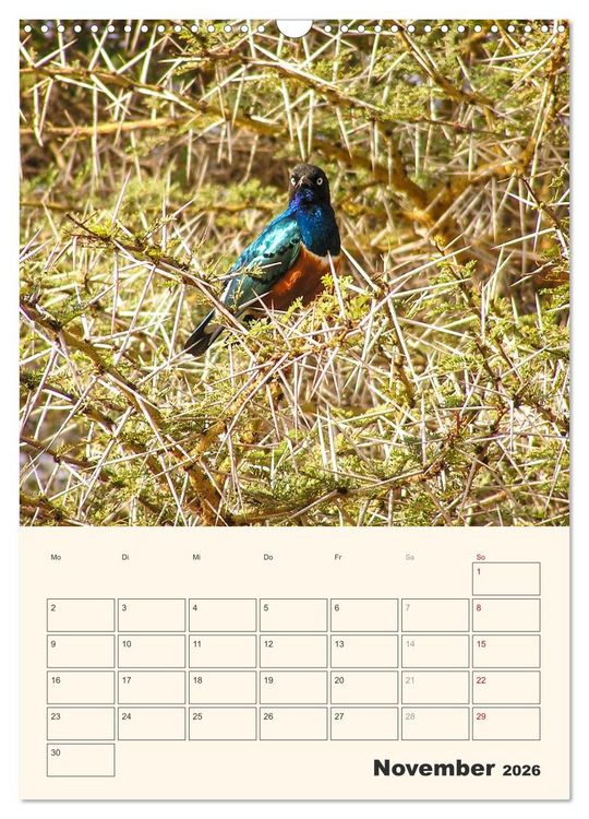 Produktbild: Kenia &ndash; Terminplaner (Wandkalender 2026 DIN A3 hoch), CALVENDO Monatskalender