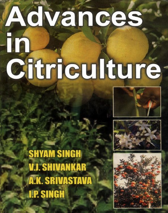 Produktbild: Advances In Citriculture