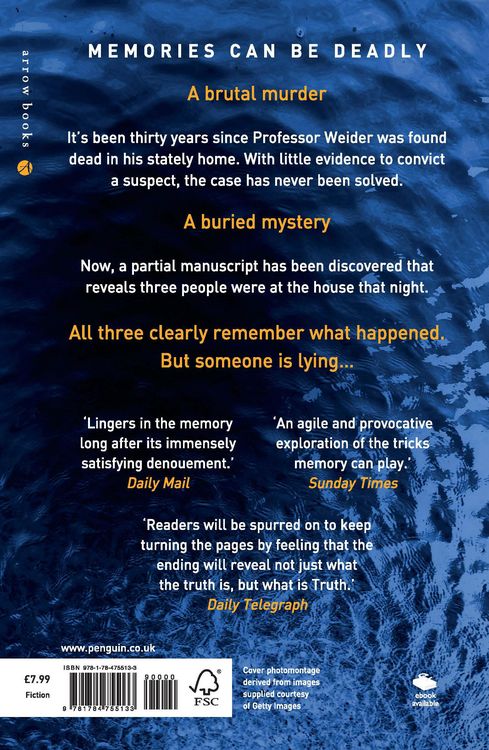 Produktbild: Chirovici, E: The Book of Mirrors