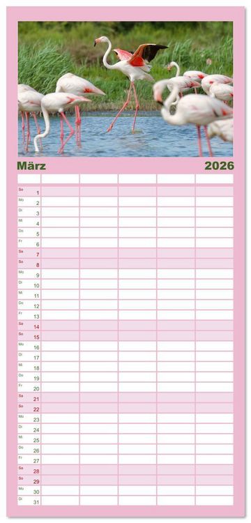 Produktbild: Familienplaner 2026 - The Power Of Pink mit 5 Spalten (Wandkalender, 21 x 45 cm) CALVENDO