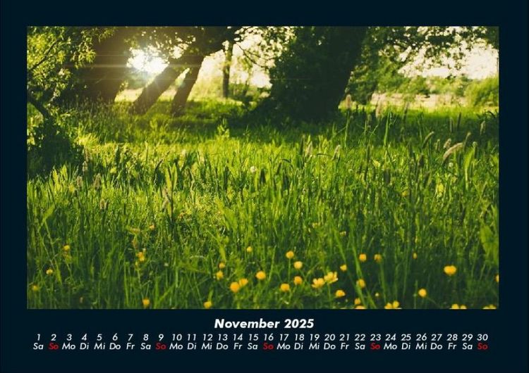 Produktbild: Pflanzen und Bl&uuml;ten 2025 Fotokalender DIN A4
