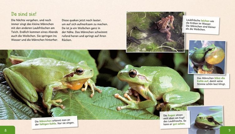 Produktbild: Meine gro&szlig;e Tierbibliothek: Der Frosch