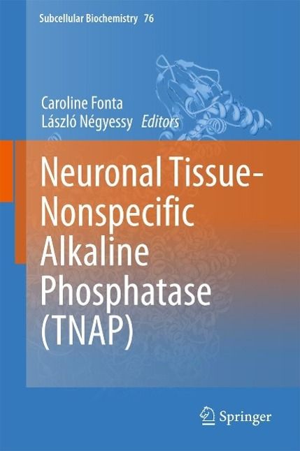 Produktbild: Neuronal Tissue-Nonspecific Alkaline Phosphatase (TNAP)