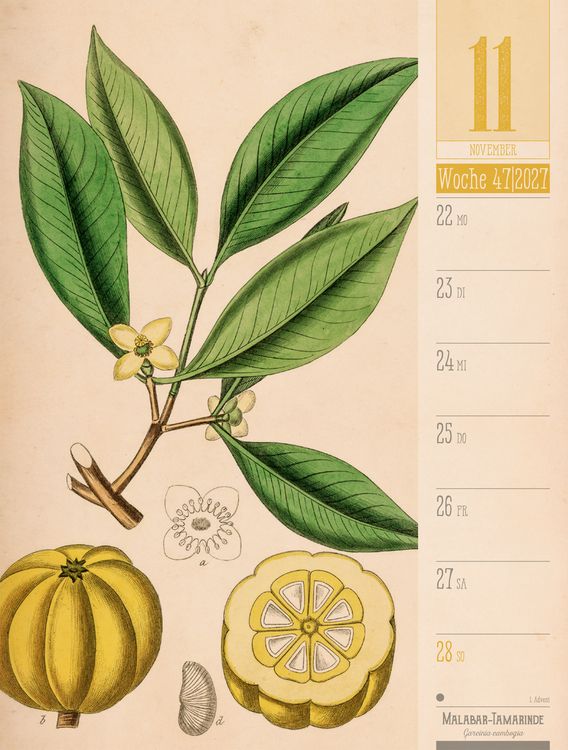 Produktbild: Culinarium Wochenplaner Kalender 2027 | K&uuml;che, Kr&auml;uter, Kurioses