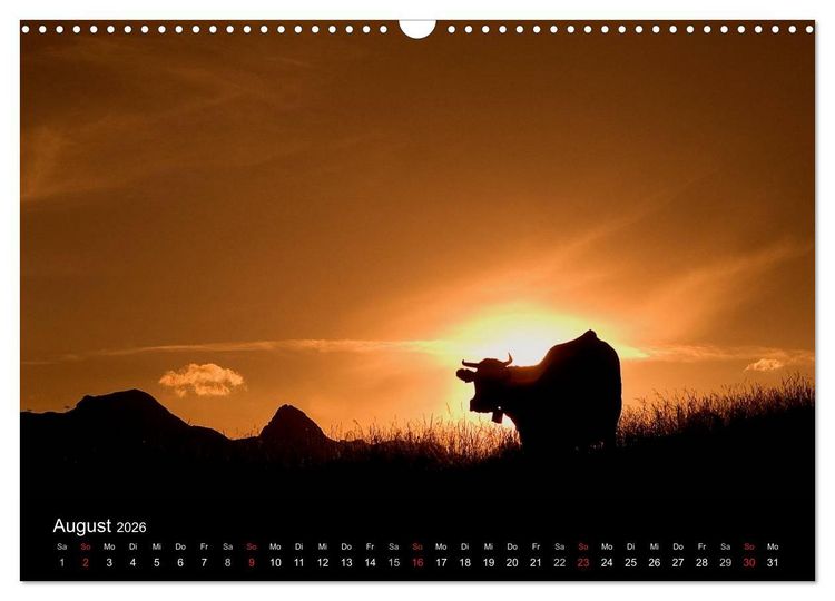 Produktbild: K&uuml;he 2026 (Wandkalender 2026 DIN A3 quer), CALVENDO Monatskalender