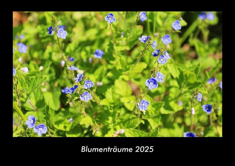 Produktbild: Blumentr&auml;ume 2025 Fotokalender DIN A3