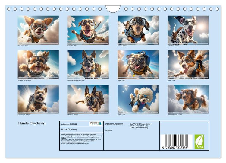 Produktbild: Hunde Skydiving (Wandkalender 2026 DIN A4 quer), CALVENDO Monatskalender