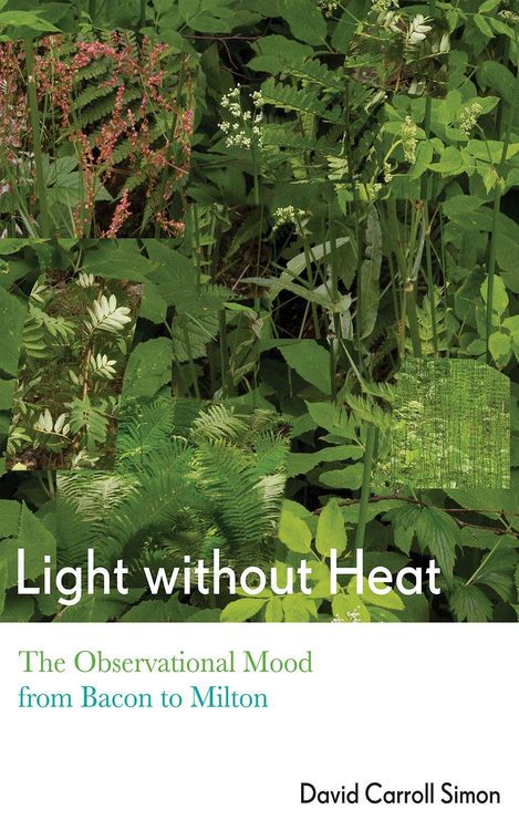 Produktbild: Light Without Heat