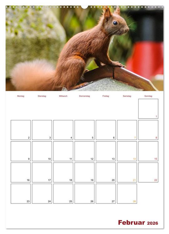 Produktbild: Eichh&ouml;rnchen Planer 2026 (Wandkalender 2026 DIN A2 hoch), CALVENDO Monatskalender