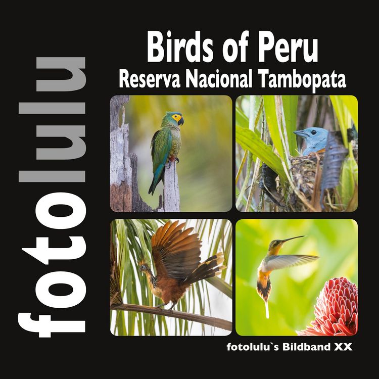 Produktbild: Birds of Peru