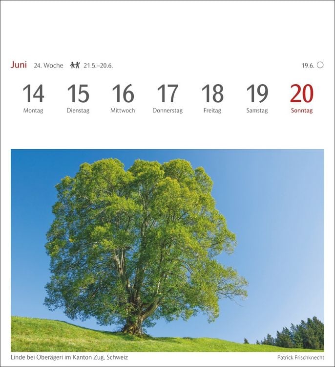 Produktbild: B&auml;ume Postkartenkalender 2027 - Wochenkalender mit 53 Postkarten
