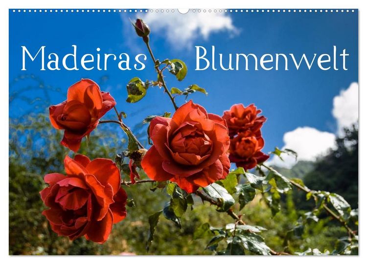 Produktbild: Madeiras Blumenwelt (Wandkalender 2027 DIN A2 quer), CALVENDO Monatskalender