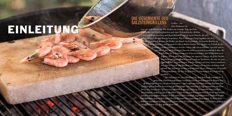 Produktbild: Grillen auf dem Salzstein - Das Einsteigerbuch! Die besten Rezepte vom Salzblock-Profi