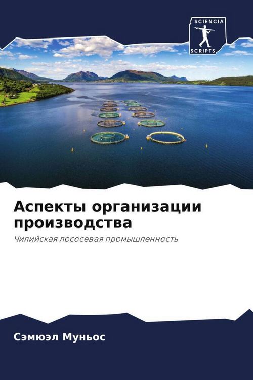 Produktbild: Aspekty organizacii proizwodstwa