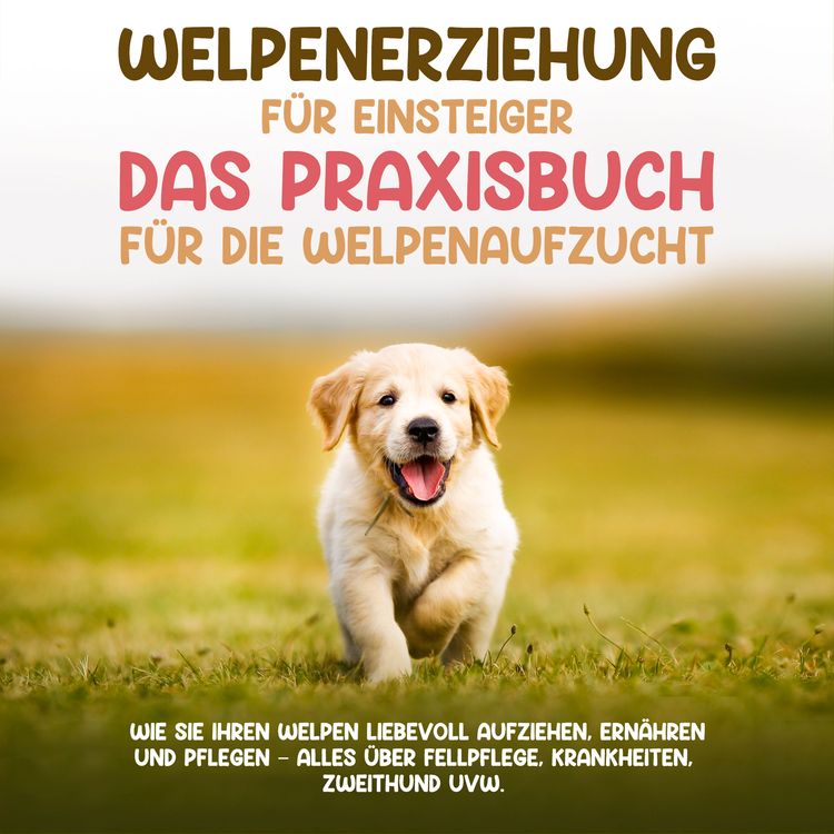 Produktbild: Welpenerziehung f&uuml;r Einsteiger - Das Praxisbuch f&uuml;r die Welpenaufzucht: Wie Sie Ihren Welpen liebevoll aufziehen, ern&auml;hren und pflegen - alles &uuml;ber Fellpflege, Krankheiten, Zweithund uvw.