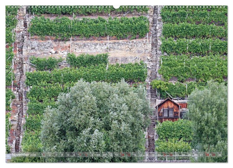 Produktbild: Weinbergh&auml;uschen - Schutz- und Werkzeughaus f&uuml;r den Weing&auml;rtner (hochwertiger Premium Wandkalender 2026 DIN A2 quer), Kunstdruck in Hochglanz