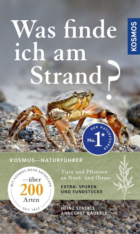 Produktbild: Was finde ich am Strand?