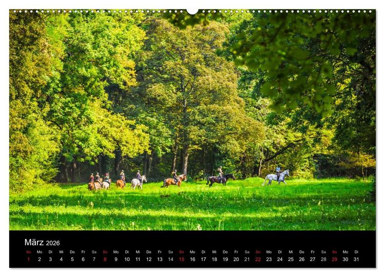 Produktbild: Mannheimer Waldpark (Wandkalender 2026 DIN A2 quer), CALVENDO Monatskalender