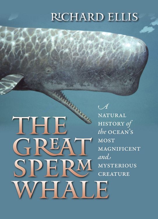 Produktbild: The Great Sperm Whale