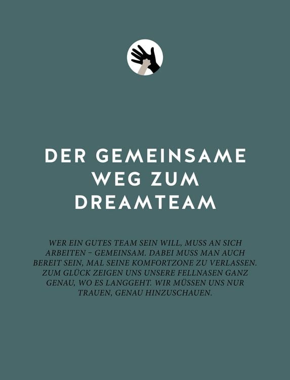 Produktbild: Das Geheimnis der Spiegelung