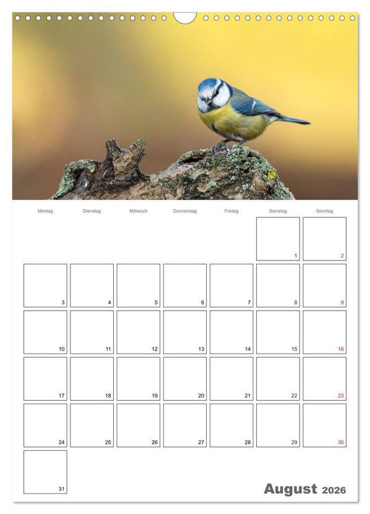 Produktbild: V&ouml;gel im heimischen Garten (Wandkalender 2026 DIN A3 hoch), CALVENDO Monatskalender