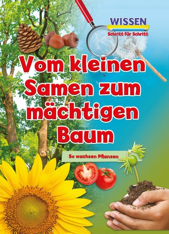 Produktbild: Vom kleinen Samen zum m&auml;chtigen Baum
