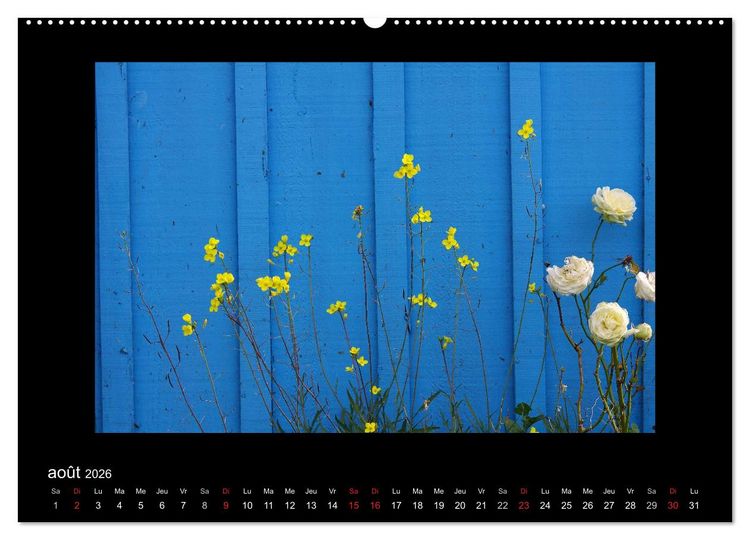 Produktbild: Les Cabanes d'Ol&eacute;ron (Calendrier mural 2026 DIN A2 vertical) calendrier de bureau
