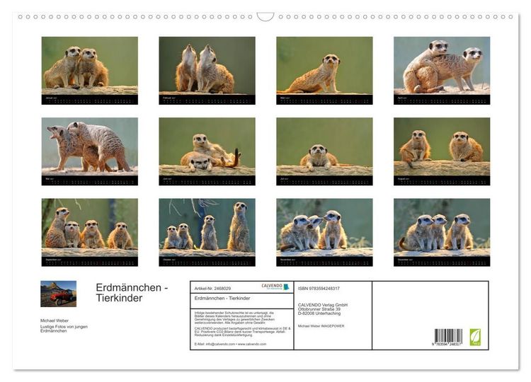 Produktbild: Erdm&auml;nnchen - Tierkinder (Wandkalender 2027 DIN A2 quer), CALVENDO Monatskalender
