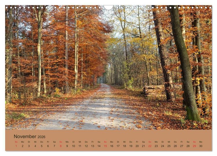 Produktbild: Stressfreie Zone! Parks und gr&uuml;ne Oasen in Augsburg (Wandkalender 2026 DIN A3 quer), CALVENDO Monatskalender