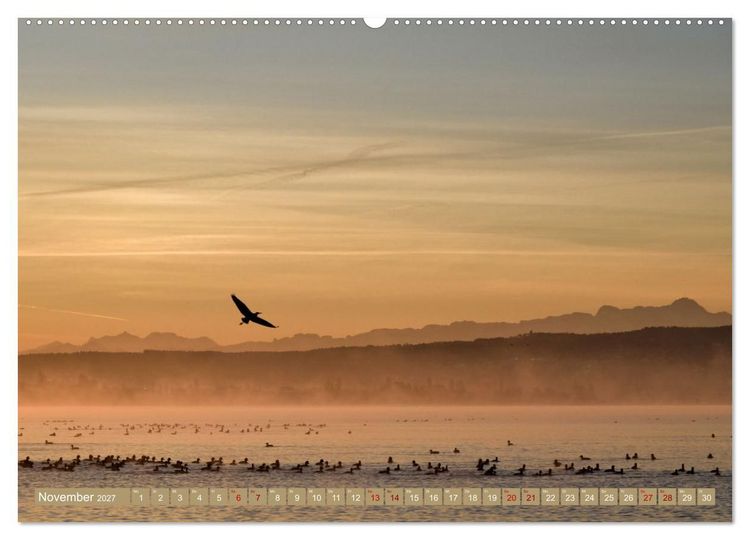 Produktbild: Zauberhafter Westlicher Bodensee (Wandkalender 2027 DIN A2 quer), CALVENDO Monatskalender