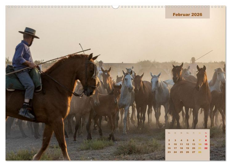 Produktbild: Pferde - Andalusiens wilder Westen (Wandkalender 2026 DIN A2 quer), CALVENDO Monatskalender