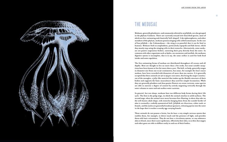 Produktbild: Art Forms from the Abyss