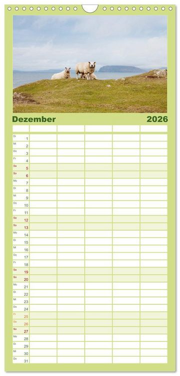 Produktbild: Familienplaner 2026 - Unter Schafen - Wegbegleiter auf Reisen mit 5 Spalten (Wandkalender, 21 x 45 cm) CALVENDO