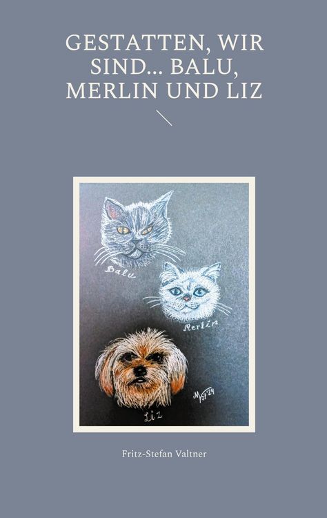 Produktbild: Gestatten, wir sind... Balu, Merlin und Liz