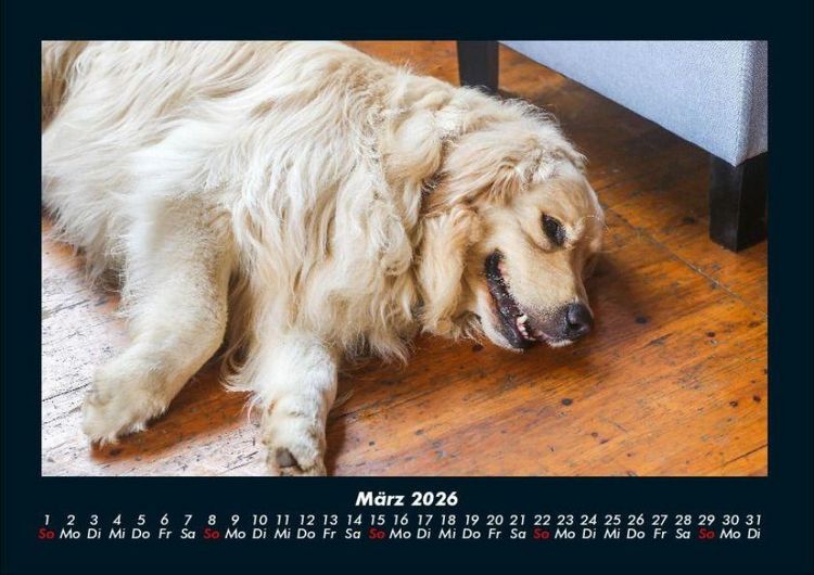 Produktbild: Hundezauber 2026 Fotokalender DIN A4