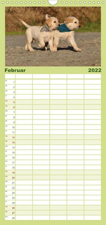 Produktbild: Familienplaner Golden Retriever (Wandkalender 2022 , 21 cm x 45 cm, hoch)