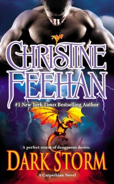 Bild vom Artikel Dark Storm vom Autor Christine Feehan