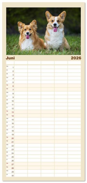 Produktbild: Familienplaner 2026 - Britische H&uuml;tehunde - Treue Freunde auf vier Pfoten mit 5 Spalten (Wandkalender, 21 x 45 cm) CALVENDO