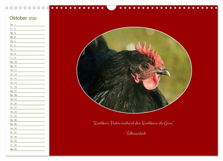 Produktbild: Freilaufende H&uuml;hner (Wandkalender 2026 DIN A3 quer), CALVENDO Monatskalender